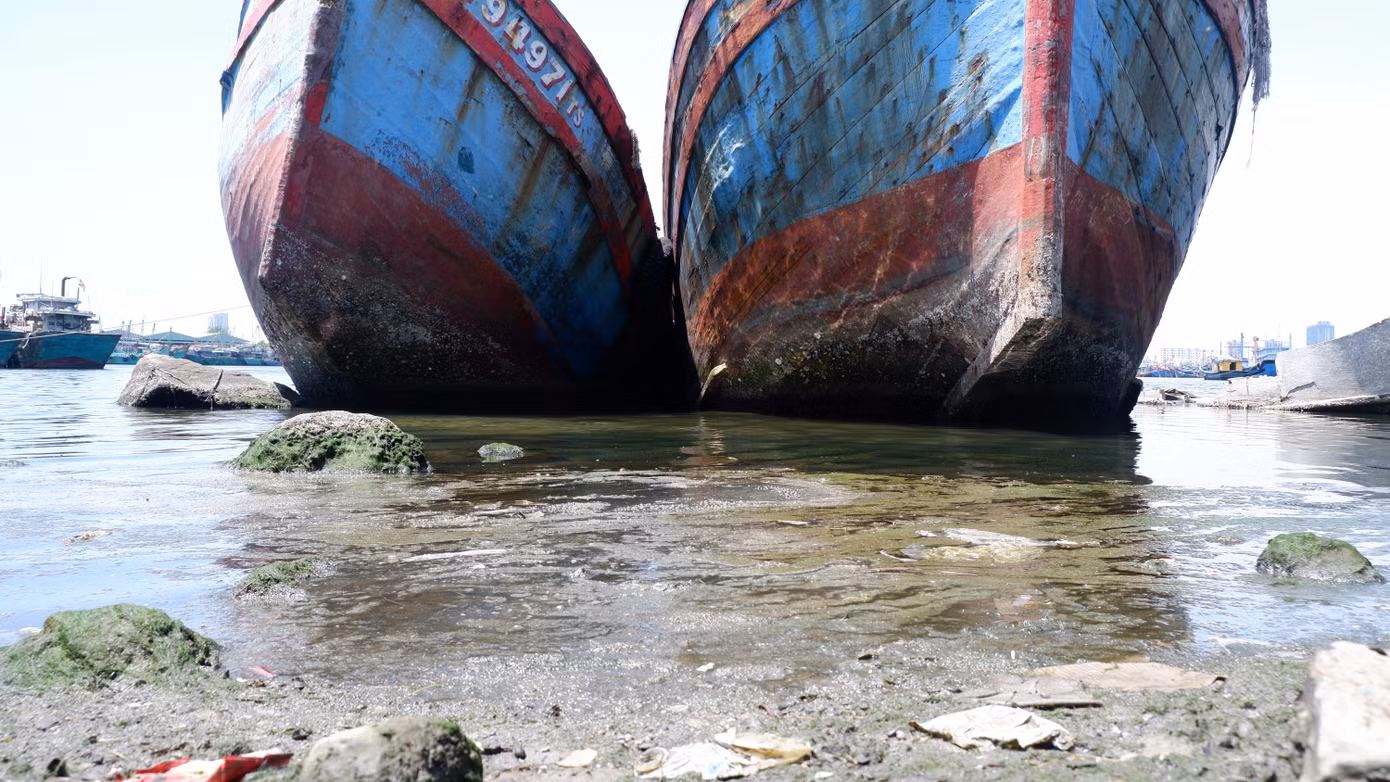 Tuy nhiên, đây chỉ là những giải pháp tình thế. Ban quản lý sẽ tiếp tục phối hợp với ngân hàng, chính quyền địa phương để nhanh chóng phát mại các tài sản, làm điều kiện để di dời các con tàu đắm, trả lại mặt bằng cho âu thuyền Thọ Quang. Tuy nhiên, đây chỉ là những giải pháp tình thế. Ban quản lý sẽ tiếp tục phối hợp với ngân hàng, chính quyền địa phương để nhanh chóng phát mại các tài sản, làm điều kiện để di dời các con tàu đắm, trả lại mặt bằng cho âu thuyền Thọ Quang.
