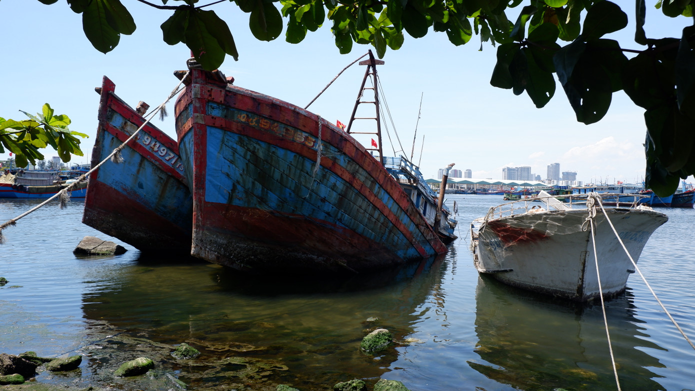 Ông Nguyễn Lại, Trưởng Ban Quản lý âu thuyền và cảng cá Thọ Quang cho biết: Hiện tại, âu thuyền Thọ Quang còn 6 con tàu cá đang chờ trục vớt và di dời. Cả 6 tàu này đều là tài sản thế chấp của ngân hàng, đang trong quá trình chờ phát mại hoặc bán đấu giá.