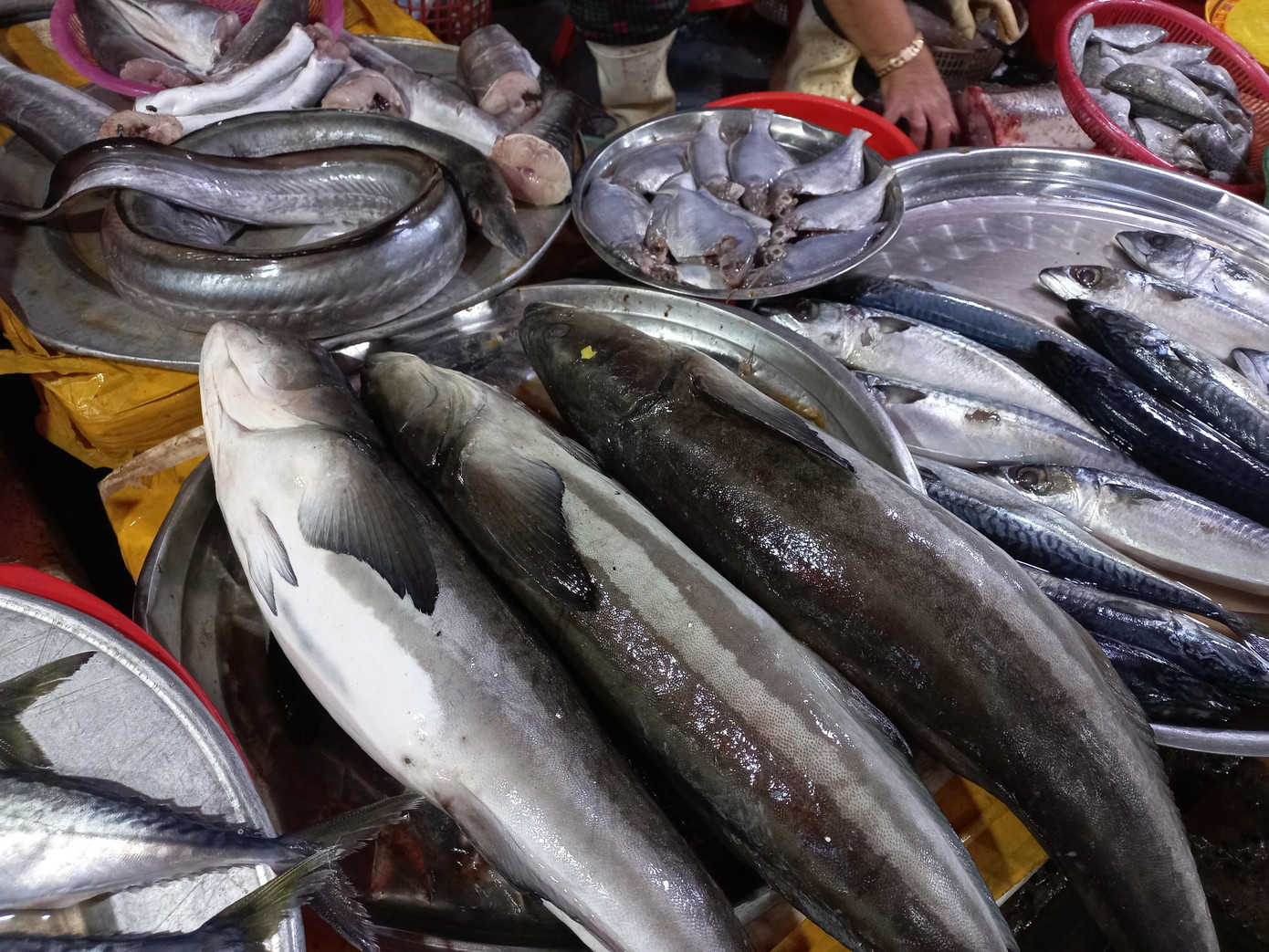 Các mặt hàng hải sản đều bình ổn giá. Thậm chí, nhiều loại hải sản được bán rẻ hơn thường ngày vì tiểu thương hạ giá để nhanh chóng bán hết hàng trước khi phải nghỉ bán, cách ly theo dõi sức khoẻ tại nhà.