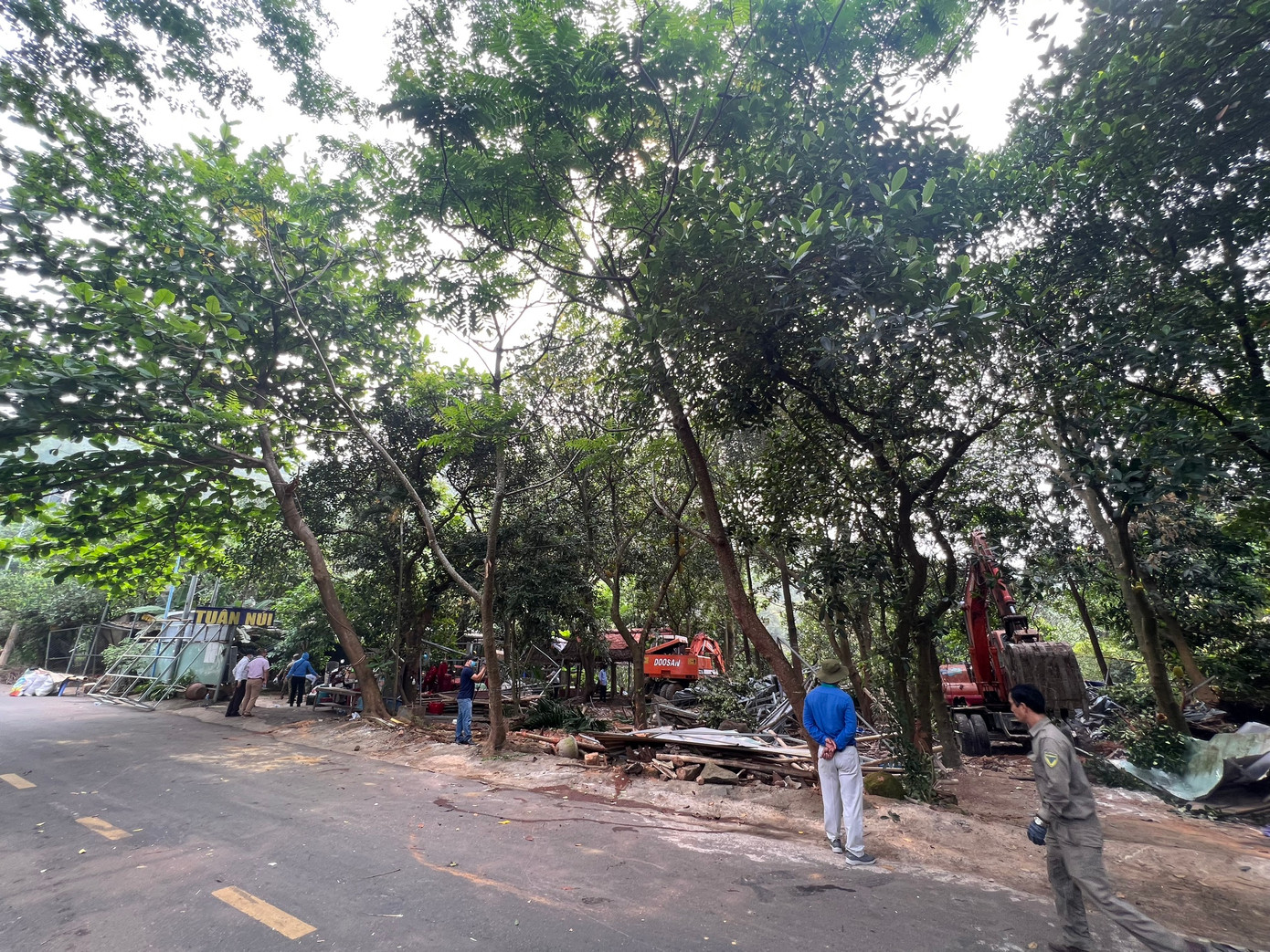 Theo UBND quận Sơn Trà, các trường hợp xây dựng trái phép trên bán đảo Sơn Trà có 3 nhóm: Công trình tồn tại trên diện tích có hợp đồng giao khoán nhưng không xác định được chủ hợp đồng giao khoán trồng rừng (11 trường hợp); Công trình tồn tại trên diện tích có hợp đồng giao khoán và xác định được chủ hợp đồng giao khoán trồng trường (26 trường hợp) và Công trình tồn tại trên diện tích không có hồ sơ giao khoán trồng rừng (21 trường hợp).