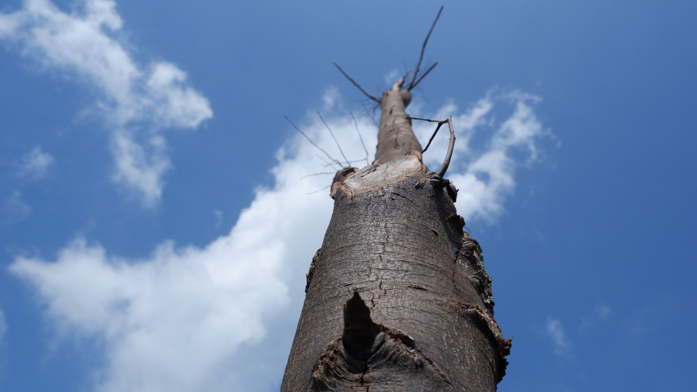 Theo tìm hiểu, tuyến đường vành đai đoạn Hòa Phước - Hòa Khương (huyện Hòa Vang) thông xe năm 2019. Dự án do UBND thành phố Đà Nẵng làm chủ đầu tư, với nguồn kinh phí xây lắp và hạ tầng toàn tuyến gần 500 tỷ đồng từ vốn ODA của Ngân hàng Thế giới và vốn đối ứng của Đà Nẵng.