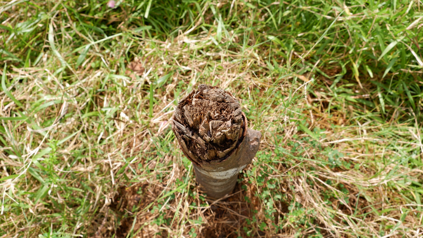 Lãnh đạo Sở Xây dựng thành phố Đà Nẵng cũng cho biết, hiện nay, gói thầu cây xanh tại dự án này chưa được nghiệm thu và bàn giao. Kiểm tra thực tế trên tuyến đường này, lãnh đạo Thành ủy Đà Nẵng cũng đã có chỉ đạo rà soát, có giải pháp chỉnh sửa, nâng cấp hệ thống cây xanh trên toàn tuyến để bàn giao cho cơ quan chức năng quản lý, chăm sóc.