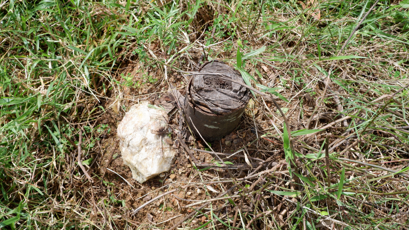 Sở xây dựng thành phố Đà Nẵng cho biết, sẽ tiếp tục giám sát, đôn đốc việc xử lý bảo trì bảo dưỡng cây xanh trên tuyến đường này để sớm bàn giao cho công ty Công ty Công viên cây xanh Đà Nẵng chăm sóc.