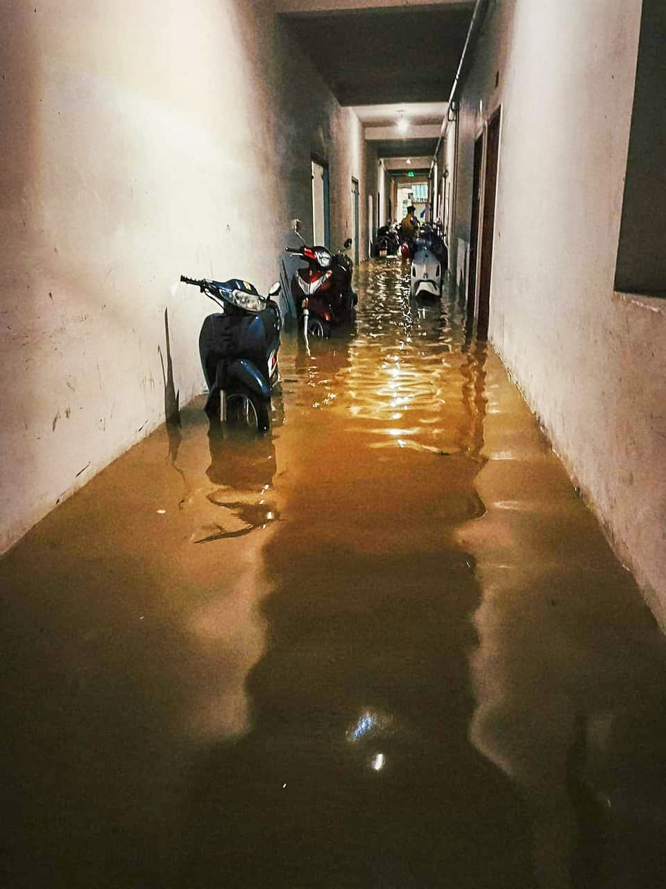 Nhiều dãy trọ của sinh viên, công nhân bị ngập.