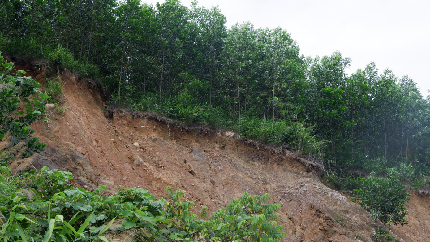 Ông Phan Thế Dũng, Chi cục trưởng Chi cục Kiểm lâm TP. Đà Nẵng cho biết sẽ kiểm việc mở đường tại khu vực núi rừng ở Dốc Kiền. "Về việc quy hoạch trồng rừng, qua thực tế cây keo không giữ được đất tại các vùng sườn đồi, có độ dốc cao. Chi cục sẽ xem xét kiến nghị giải pháp chuyển đổi cây trồng, trồng cây lâu năm không khai thác lấy gỗ tại các khu vực có nguy cơ sạt lở cao trên địa bàn", ông Dũng cho biết.