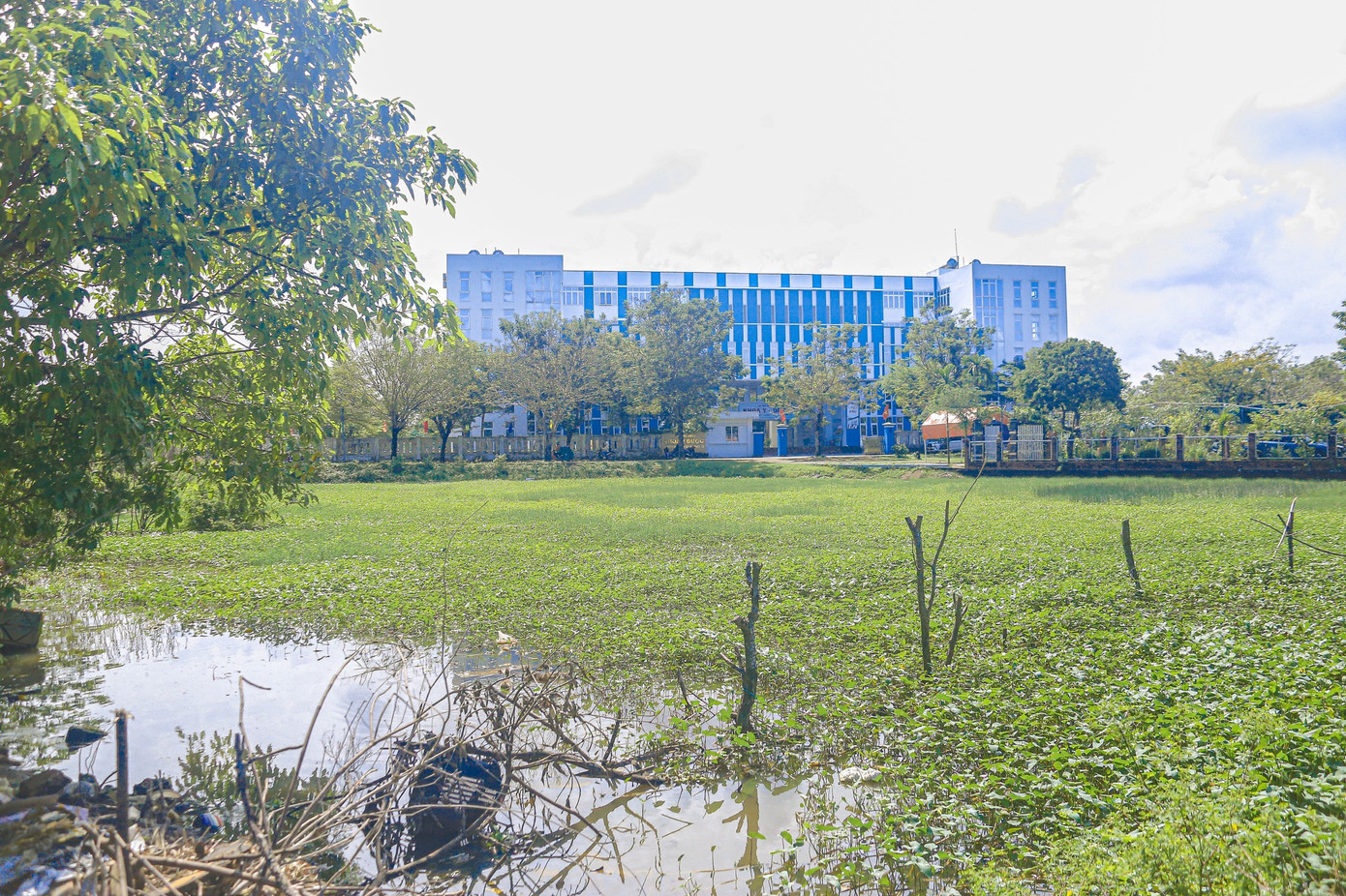 Một số đơn vị trong dự án gồm Đại học Công nghệ thông tin và Truyền thông Việt - Hàn, Trung tâm giáo dục Quốc phòng và Khoa Y Dược (Đại học Đà Nẵng) đã được đưa về Làng Đại học với hơn 4.000 sinh viên đang học tập.