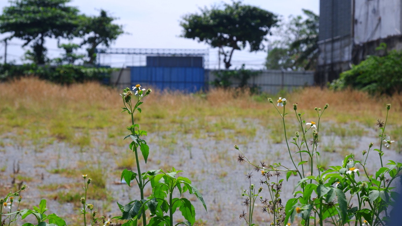 Tháng 5/2023, Văn phòng Cơ quan cảnh sát điều tra Bộ Công an đã hủy bỏ việc tạm dừng giao dịch tài sản, đảm bảo hoạt động bình thường của các công ty liên quan đến Phan Văn Anh Vũ. Năm 2024, UBND TP Đà Nẵng tiếp tục có văn bản gửi các cơ quan, đơn vị liên quan đến việc hủy bỏ việc tạm dừng giao dịch tài sản của các công ty liên quan đến ông Phan Văn Anh Vũ và vợ