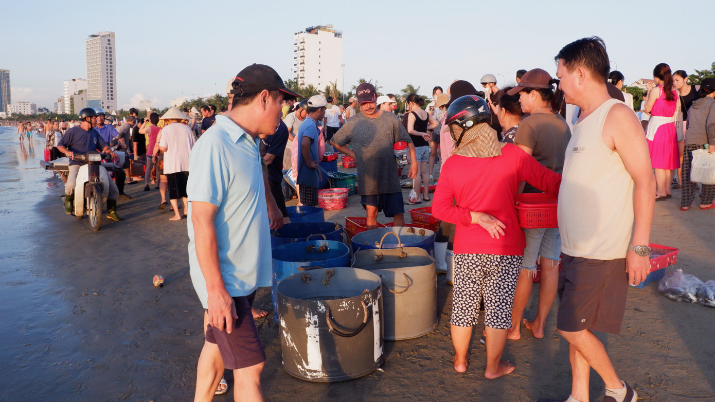 Mỗi ngày, từ bãi biển Mân Thái, hàng tấn hải sản các loại được tiểu thương thu mua, mang tỏa đi khắp các chợ ở thành phố Đà Nẵng.