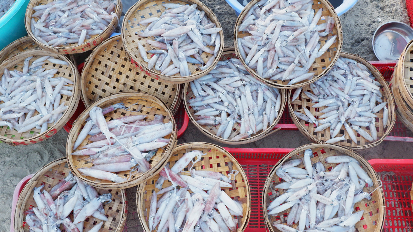 Do được đánh bắt gần bờ, nên các loại cá, mực, tôm... được bày bán ở chợ cá Mân Thái đều rất tươi ngon.