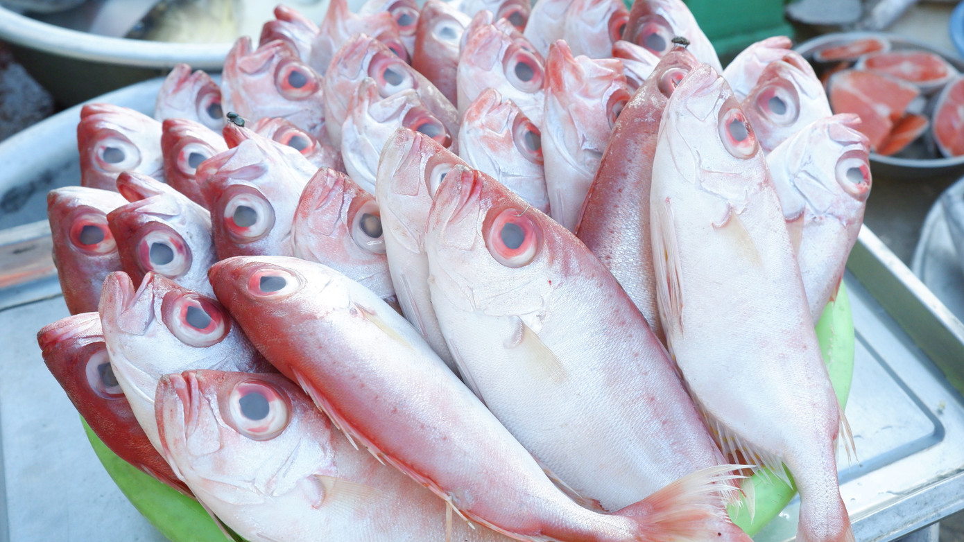 Do được đánh bắt gần bờ, nên các loại cá, mực, tôm... được bày bán ở chợ cá Mân Thái đều rất tươi ngon.