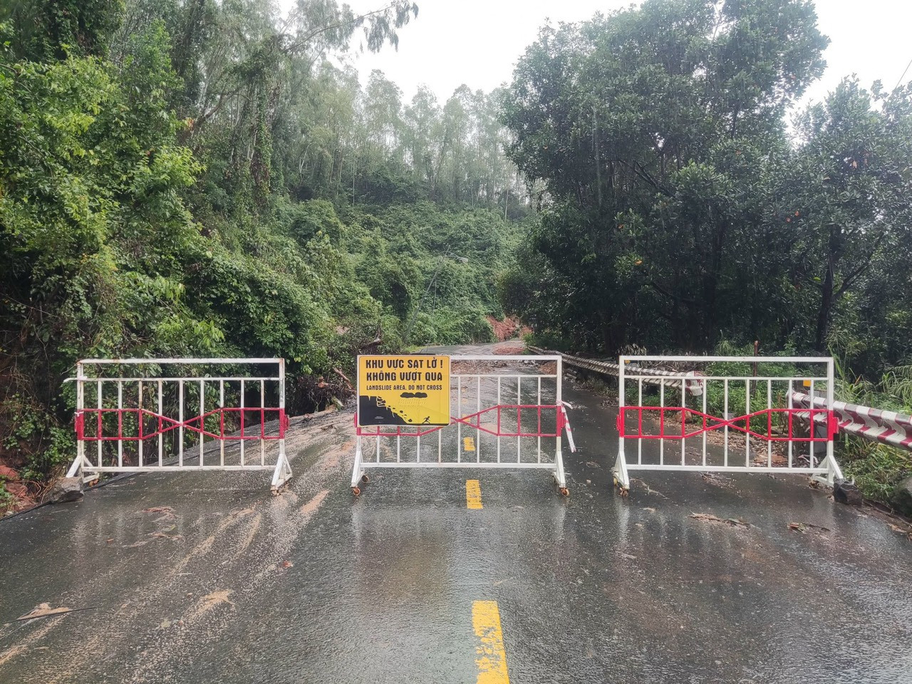 Sau hơn một năm nỗ lực khắc phục sạt lở, đến nay nhiều khu vực trên bán đảo Sơn Trà vẫn đang tiềm ẩn nguy cơ sạt lở trước mùa mưa lũ, gây nguy hiểm cho người dân và du khách khi đến đây tham quan.