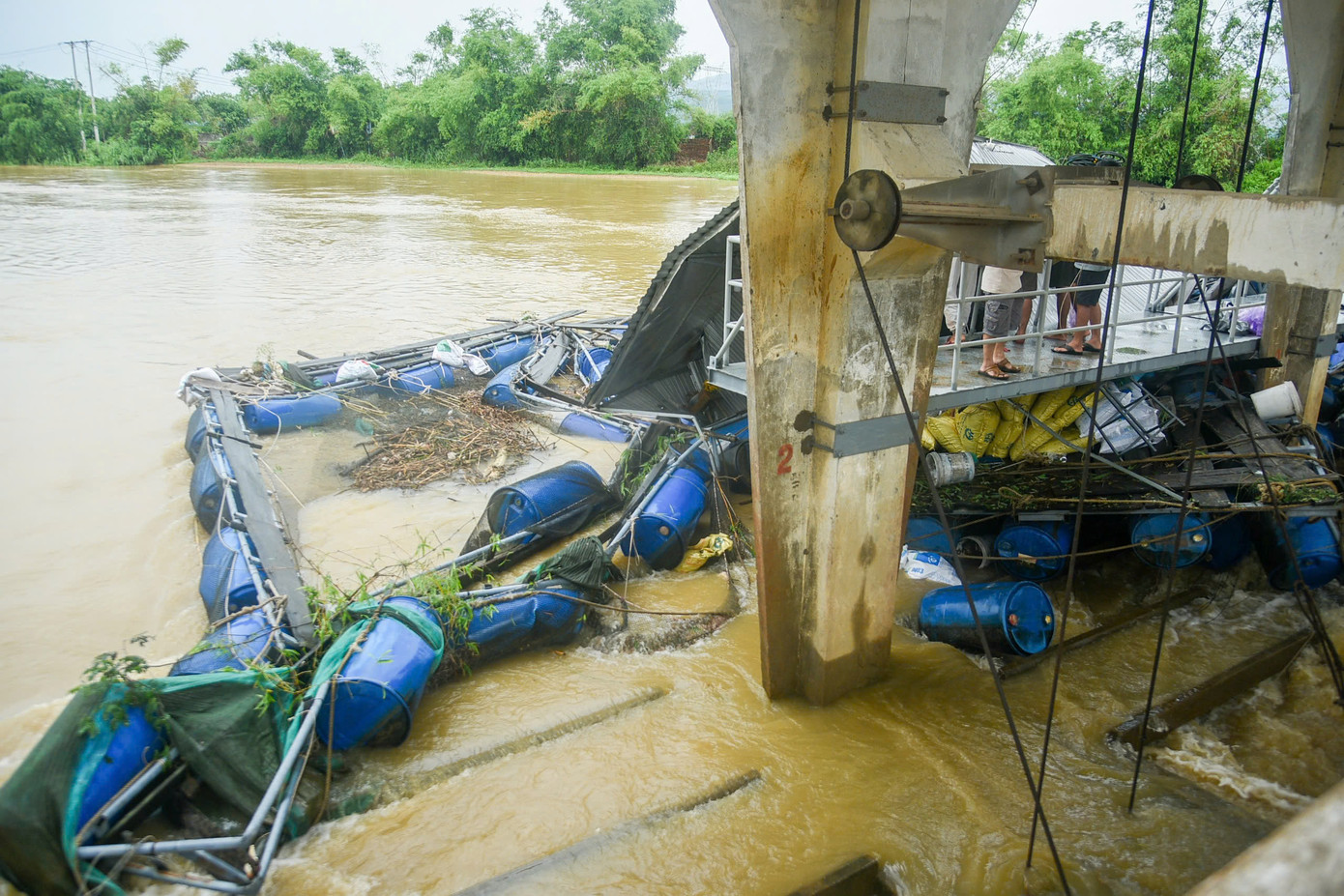 Theo người dân, số lồng cá này là của ông Đặng Ngọc Phi Long (Đại Hiệp, Đại Lộc, Quảng Nam) bị lũ cuốn trôi và dạt vào chân đập dâng An Trạch. Khoảng 50 tấn cá của hộ dân này bị mất sạch. Theo người dân, số lồng cá này là của ông Đặng Ngọc Phi Long (Đại Hiệp, Đại Lộc, Quảng Nam) bị lũ cuốn trôi và dạt vào chân đập dâng An Trạch. Khoảng 50 tấn cá của hộ dân này bị mất sạch.