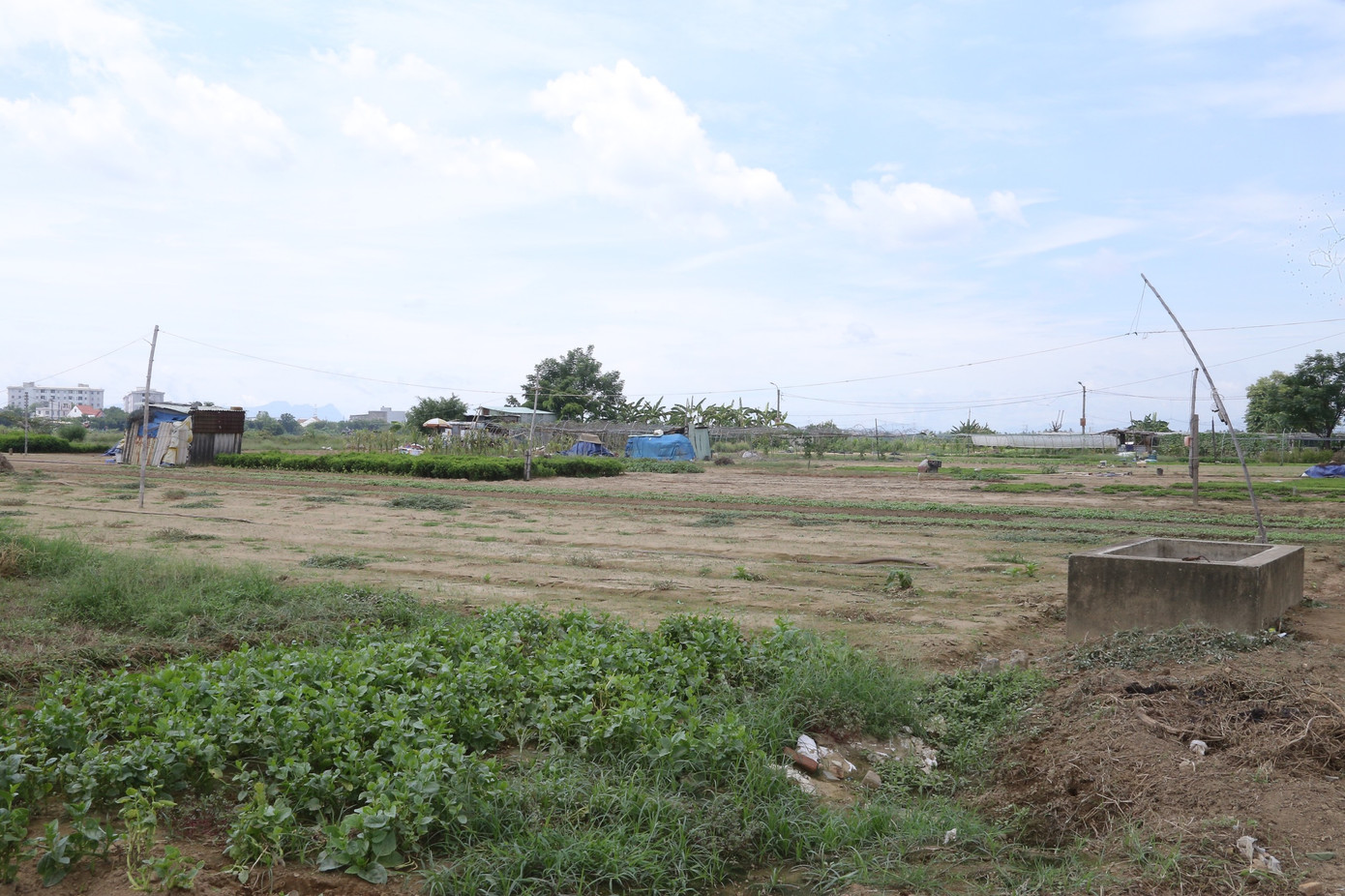 Nhiều hộ dân phải bỏ hoang diện tích đất phù sa màu mỡ vì không thể xuống giống do thiếu nước tưới. Nhiều hộ dân phải bỏ hoang diện tích đất phù sa màu mỡ vì không thể xuống giống do thiếu nước tưới.