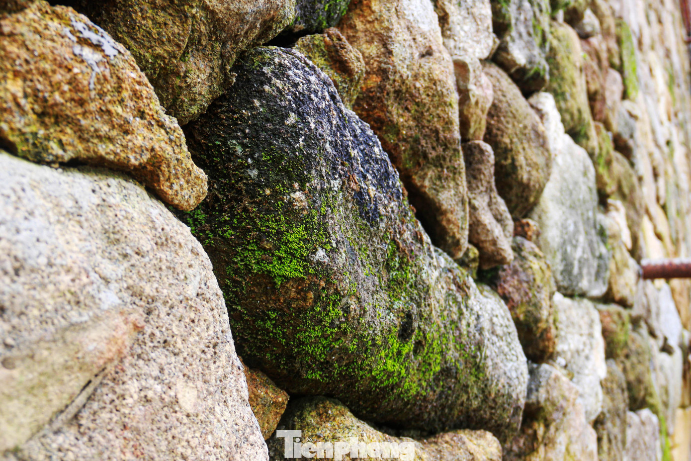 Đá tự nhiên trên các tường thành nhanh chóng mọc rêu xanh