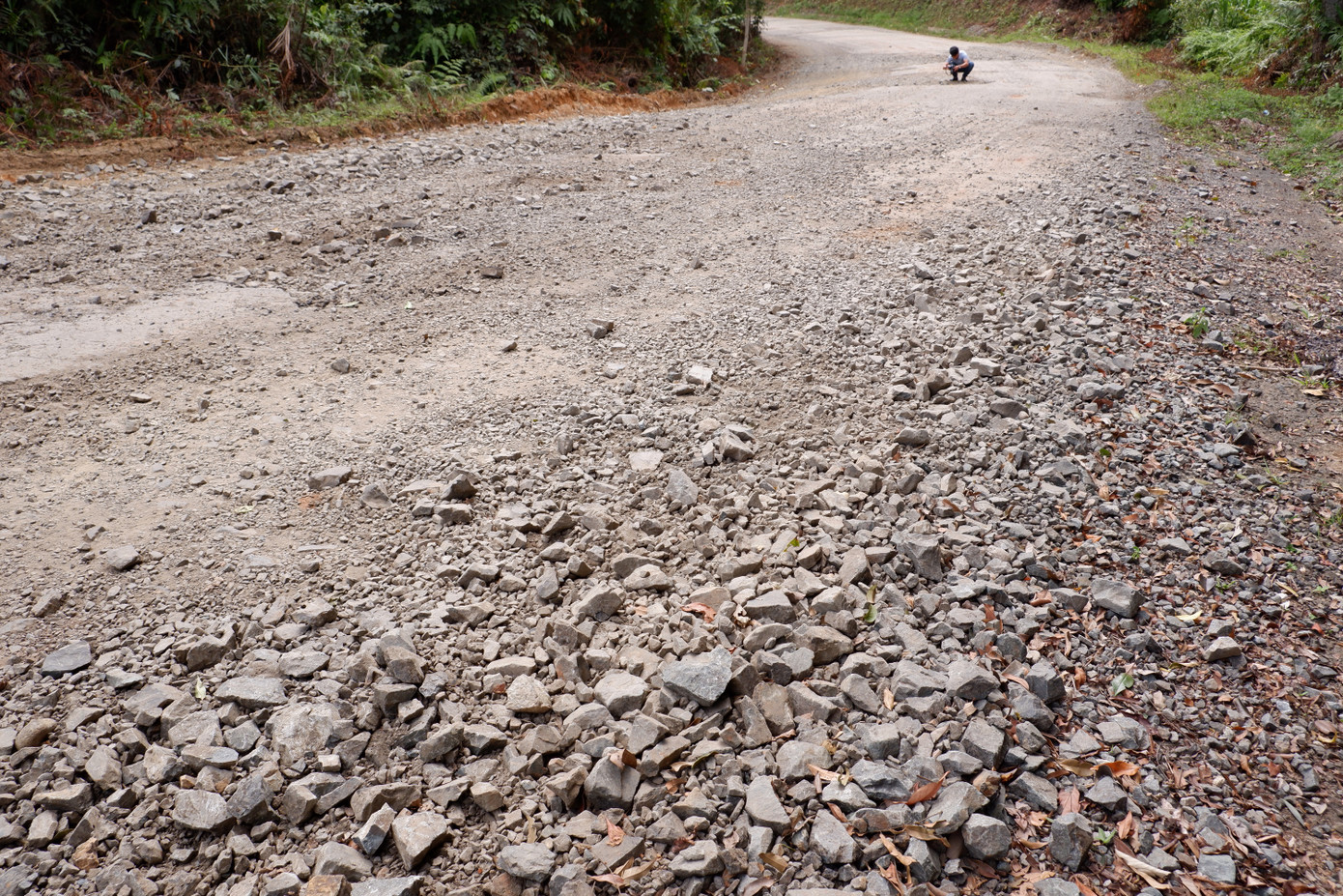 Tuyến đường QL 14D nối đường Hồ Chí Minh với cửa khẩu quốc tế Nam Giang (Quảng Nam) dài hơn 80km hiện nay đã xuống cấp nghiêm trọng, ảnh hưởng đến hoạt động giao thông vận tải qua lại giữa hai nước Việt - Lào, cũng như đi lại của người dân các xã vùng cao, vùng biên giới của huyện Nam Giang.