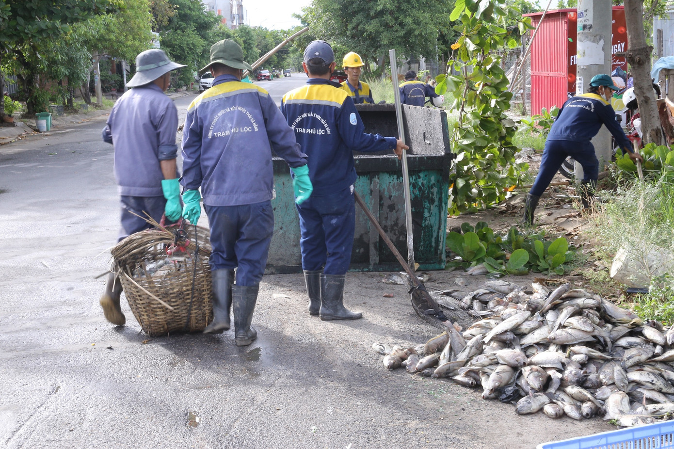Chị Lê Thị Ngọc sống cạnh kênh Đa Cô cho biết: “Cứ mỗi lần sau những trận mưa lớn thì cá lại chết trắng kênh, trong năm nay đây là lần thứ 3 cá chết như vậy. Mấy ngày nay những nhà dân quanh khu vực này phải đóng kín cửa chứ không thể chịu được mùi hôi như vậy”.