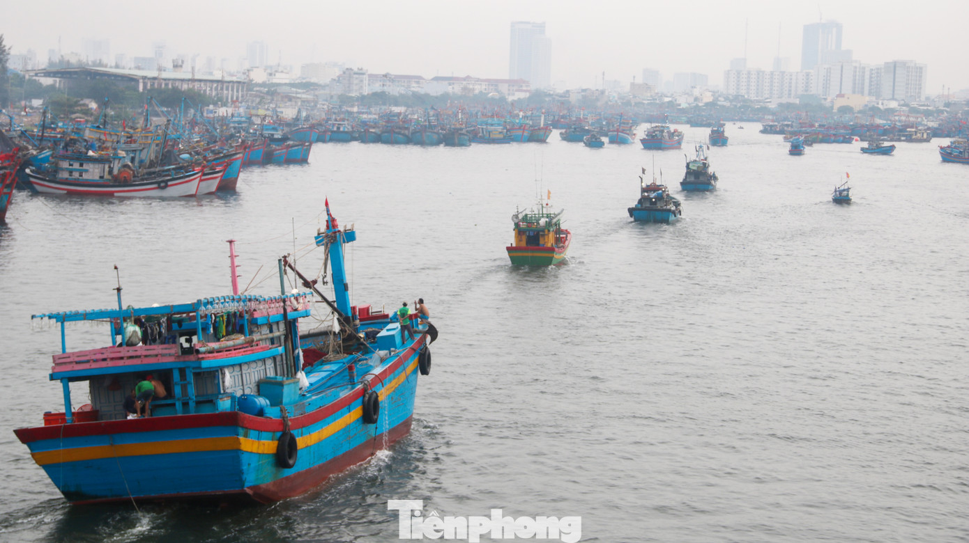 Tàu thuyền vào âu thuyền Thọ Quang (Đà Nẵng) trú tránh. Tàu thuyền vào âu thuyền Thọ Quang (Đà Nẵng) trú tránh.