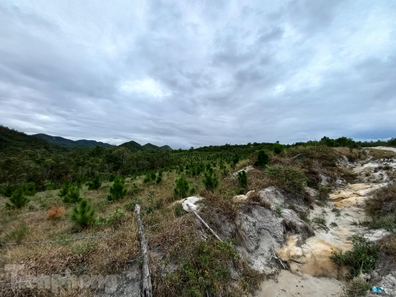 Đồng thời, lãnh đạo tỉnh cũng đề nghị nghiên cứu, quy hoạch tuyến cáp treo từ hồ Khe Tân lên đỉnh núi Bằng Am để phát triển du lịch. Đồng thời, lãnh đạo tỉnh cũng đề nghị nghiên cứu, quy hoạch tuyến cáp treo từ hồ Khe Tân lên đỉnh núi Bằng Am để phát triển du lịch.