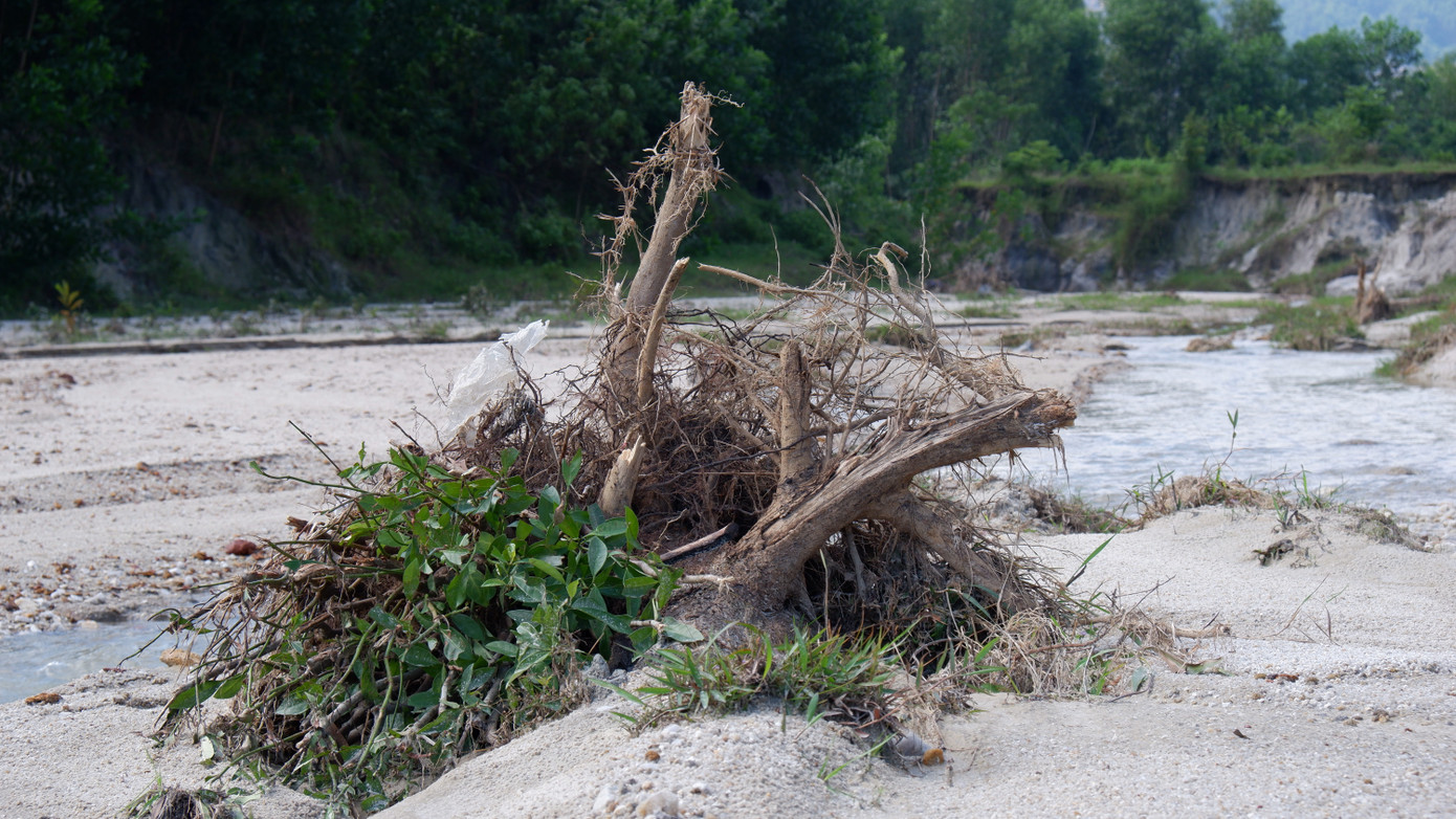Sở TN&MT TP. Đà Nẵng cũng cho biết, trong thời gian chờ thành phố phê duyệt đề án đóng cửa mỏ, đã có công văn yêu cầu công ty triển khai một số giải pháp để đảm bảo an toàn tuyệt đối tại khu vực mỏ. Trong đó, yêu cầu có giải pháp gia cố, không để xảy ra sạt lở, gây lún công trình lưới điện cao áp, trạm điện tại vị trí lân cận khu vực mỏ; đảm bảo không gây uy hiếp an toàn lưới điện, đặc biệt là mùa mưa bão sắp đến.