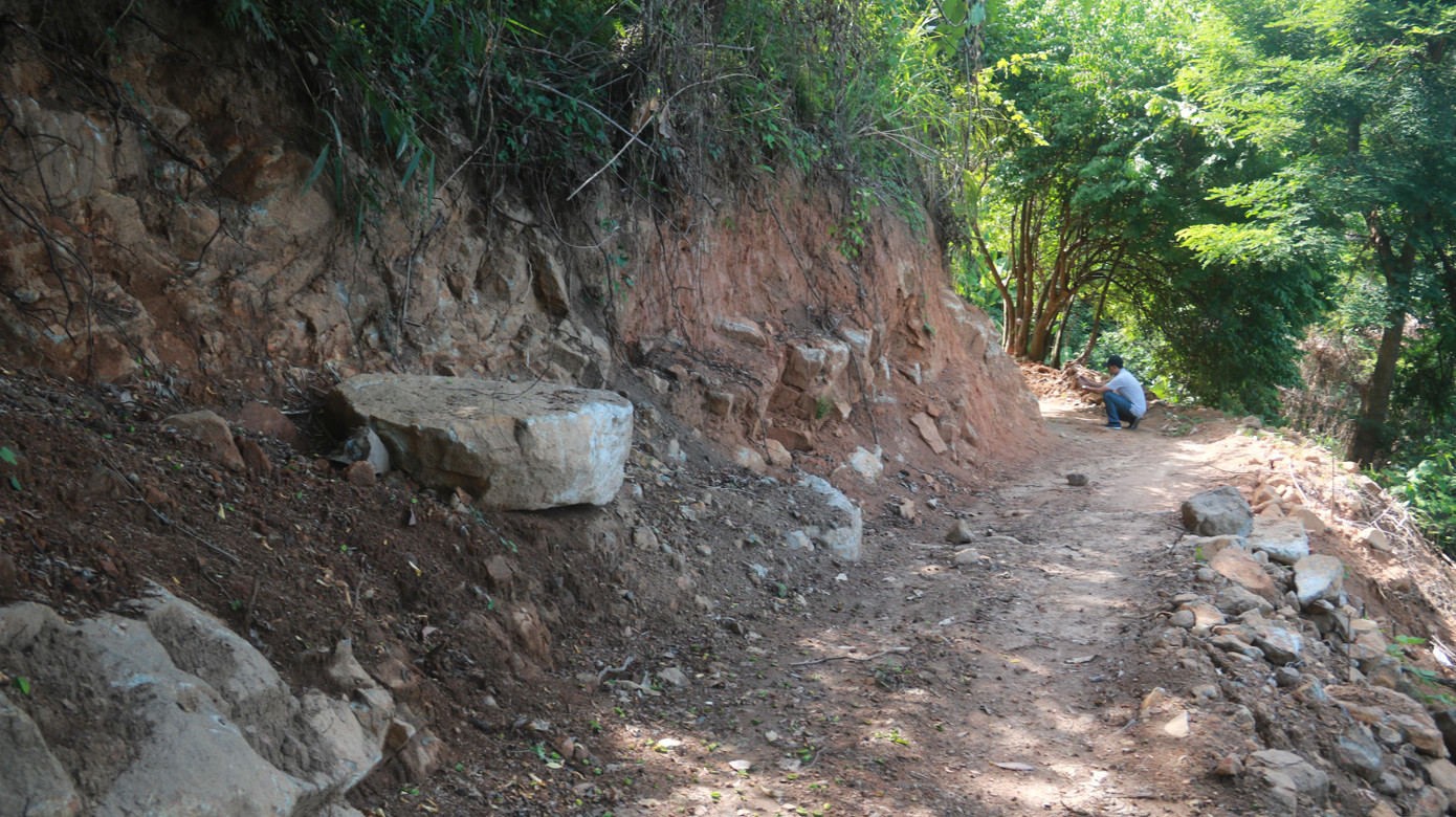 Rừng Hải Vân bị HTX Y dược Hải Vân tự ý mở đường khi chưa được cơ quan chức năng cho phép. Ảnh: Nguyễn Thành Rừng Hải Vân bị HTX Y dược Hải Vân tự ý mở đường khi chưa được cơ quan chức năng cho phép. Ảnh: Nguyễn Thành