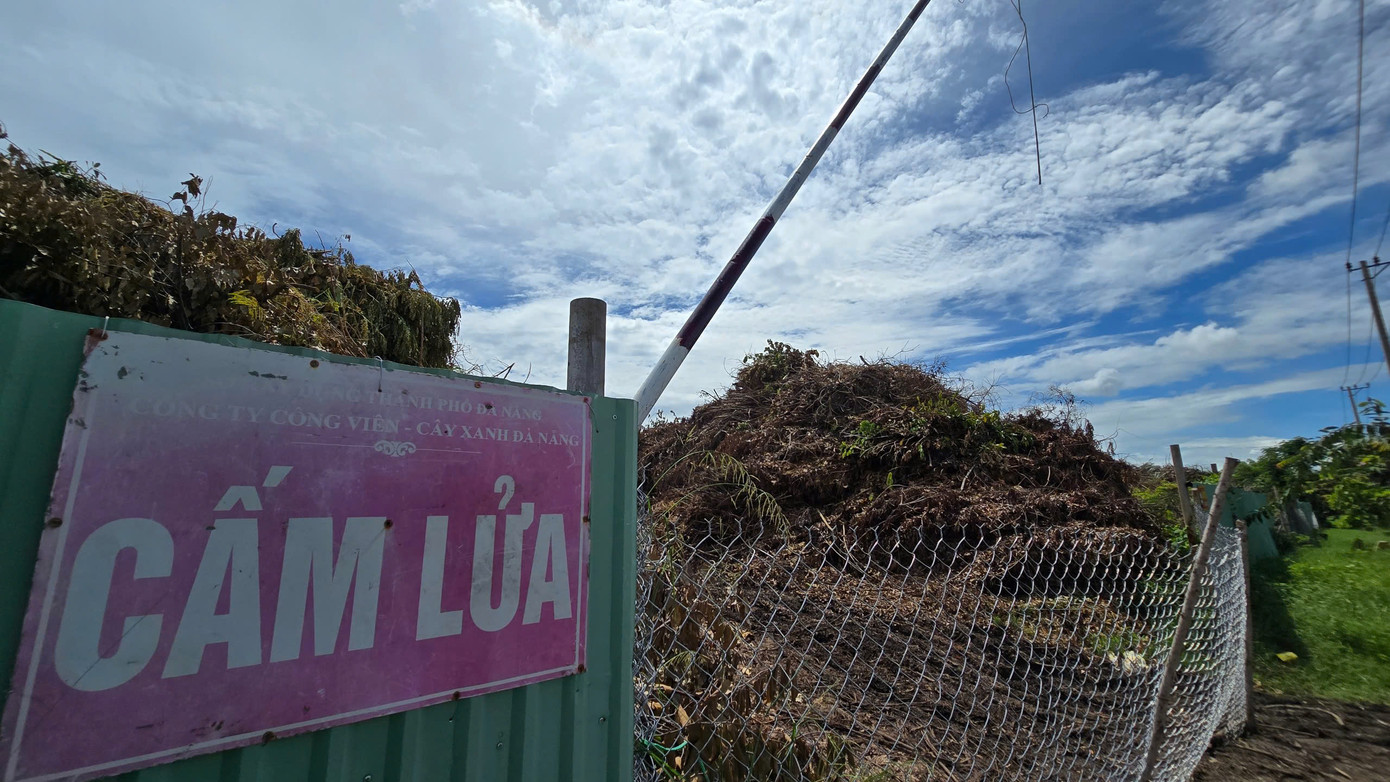 Phần diện tích rộng khoảng 1 ha phía mặt đường Lê Trực bên trong bãi, cành nhánh cây xanh chất cao như núi. Công ty Công viên - Cây xanh Đà Nẵng phải cắm biển &quot;cấm lửa&quot; để phòng cháy.