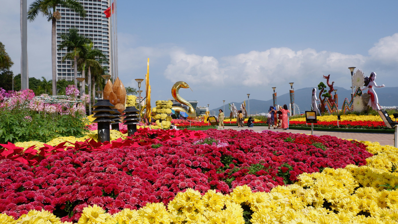 Sở Xây dựng TP Đà Nẵng cho biết, tiếp thu các ý kiến chỉ đạo của lãnh đạo thành phố, Trung tâm Tư vấn kỹ thuật xây dựng đã rà soát, điều chỉnh bổ sung phương án trang trí hoa chào mừng các sự kiện lớn của TP trong năm 2025, chia ra 2 đợt. Trong đó đợt 1 gồm các dịp lễ từ sau Tết Ất Tỵ 2025 đến dịp 29/3/2025 và 30/4/2024. Cùng với việc tiếp tục duy trì các vị trí trang trí hoa Tết, cũng sẽ bổ sung thêm 2 vị trí tại vỉa hè khu vực xung quanh Trung tâm hành chính thành phố (đường Thành Điện Hải và Trần Phú) và khu vực ra vào sân bay Đà Nẵng (đường Nguyễn Văn Linh và Duy Tân).