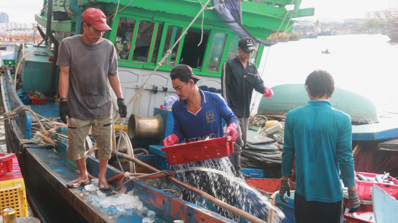 Đại tá Hồ Sĩ Hậu, Phó Chỉ huy trưởng Tham mưu trưởng Bộ đội Biên phòng TP Đà Nẵng cho biết: Tất cả các tàu Đà Nẵng đã được hướng dẫn neo đậu an toàn. Có 18 chiếc tàu dầu đã được đưa ra ngoài để phòng chống cháy nổ. Đối với các tàu không vào neo đậu, các đồn biên phòng sẽ huy động cùng ngư dân khiêng lên bờ, là các thúng, tàu nhỏ. Đến hiện tại, việc phòng chống lụt bão đối với tàu trong bờ đã đảm bảo.