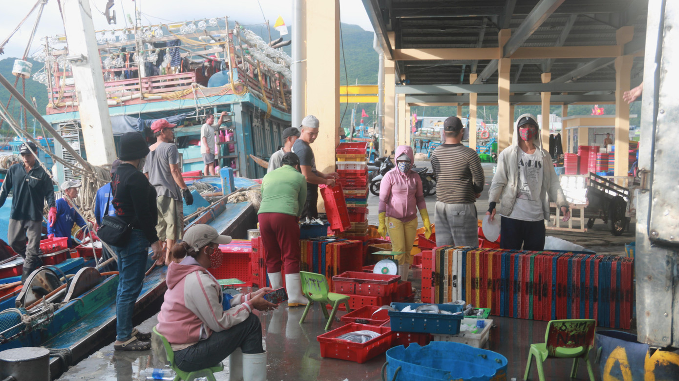 Hiện Đà Nẵng còn 35 chiếc tàu hoạt động trên biển. Có 7 tàu gần bờ, các tàu còn lại đã liên lạc được, hướng dẫn cho ngư dân thoát khỏi vùng nguy hiểm và đang di chuyển vào bờ an toàn.