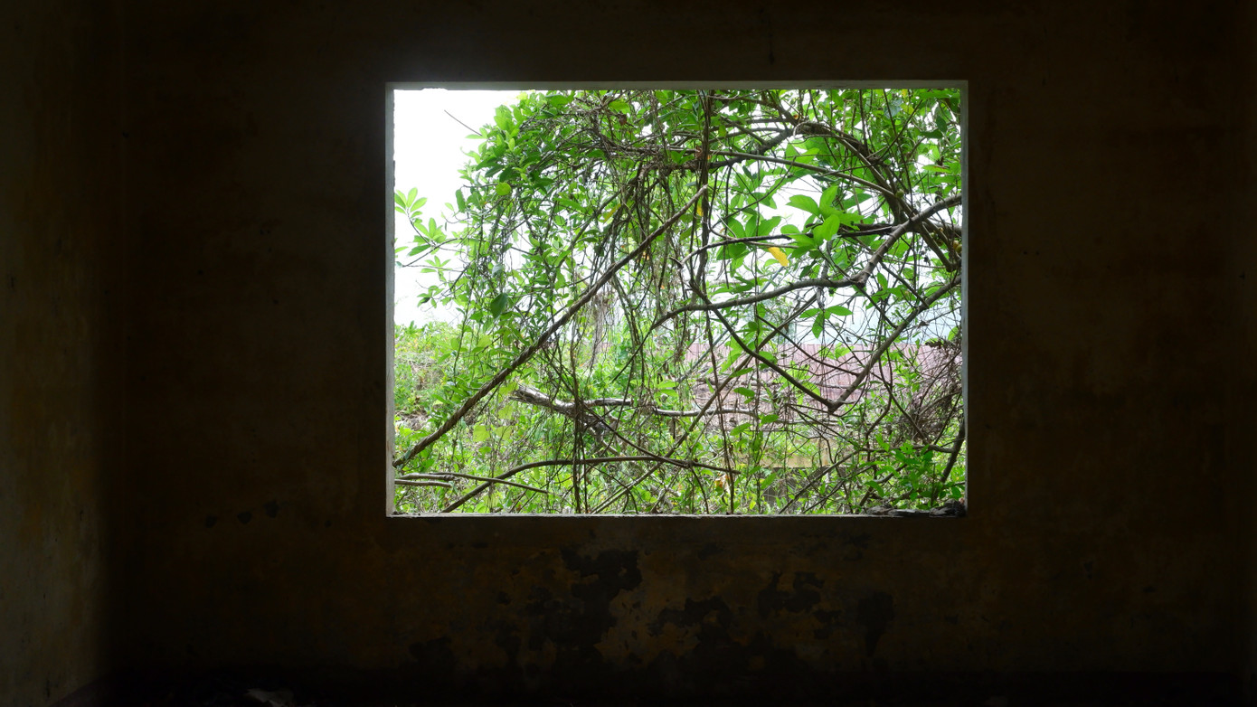 Khu cảnh u ám, cây cối mọc um tùm khiến nhiều người phải nổi da gà khi bước chân vào đây.