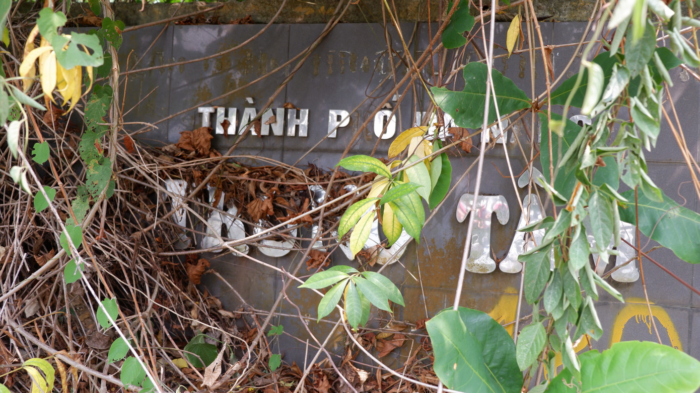 Sau hơn 10 năm, cây cối mọc um tùm khắp tường rào, cổng ngõ bao quanh khu đất.