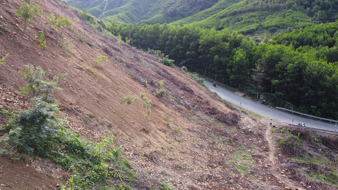 Về biện pháp lâu dài, cơ quan quản lý đường bộ đã kiến nghị cơ quan chức năng TP Đà Nẵng có hướng, quy hoạch chuyển đổi đất rừng hoặc có biện pháp khác để người dân không trồng keo dọc đường. Bởi trồng keo, quá trình khai thác sẽ phải mở đường, ảnh hưởng an toàn giao thông.
