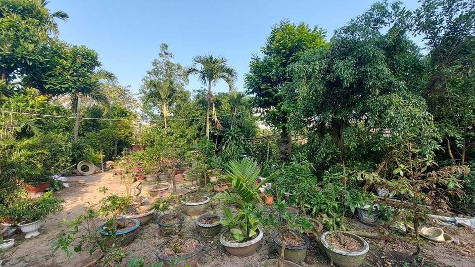 Diện tích đất của gia đình ông Côi trước khi cưỡng chế thu hồi. Diện tích đất của gia đình ông Côi trước khi cưỡng chế thu hồi.