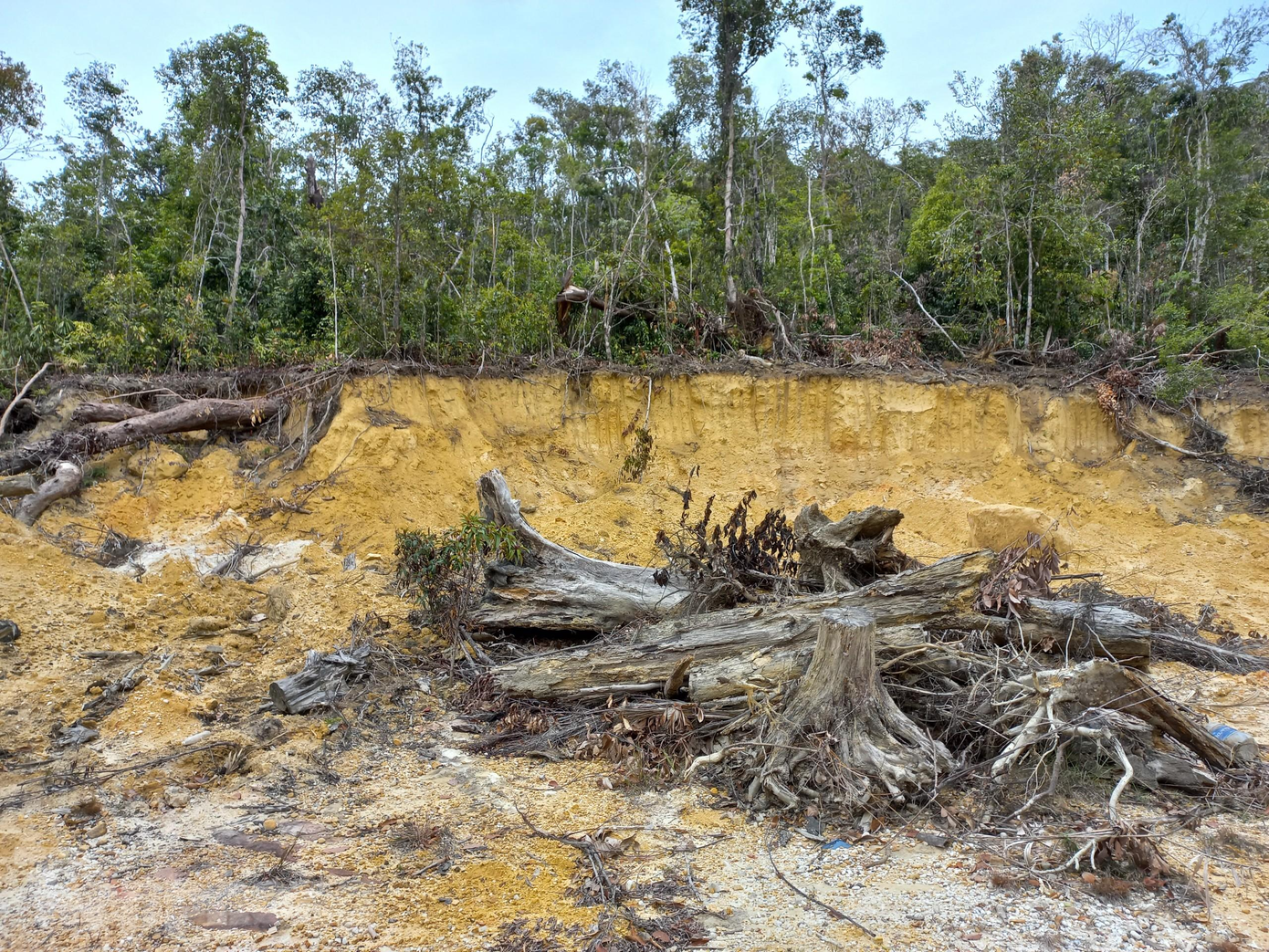 Hiện trường thi công nham nhở, cây rừng ngổn ngang trên núi Bằng Am. Báo cáo với UBND tỉnh, lãnh đạo huyện Đại Lộc cho biết: Chủ đầu tư mặc dù không tiến hành đầu tư, nhưng cũng không tích cực hợp tác với huyện Đại Lộc để xử lý, ảnh hưởng rất lớn đến công tác thu hút xúc tiến đầu tư trên địa bàn huyện Đại Lộc. Hiện trường thi công nham nhở, cây rừng ngổn ngang trên núi Bằng Am. Báo cáo với UBND tỉnh, lãnh đạo huyện Đại Lộc cho biết: Chủ đầu tư mặc dù không tiến hành đầu tư, nhưng cũng không tích cực hợp tác với huyện Đại Lộc để xử lý, ảnh hưởng rất lớn đến công tác thu hút xúc tiến đầu tư trên địa bàn huyện Đại Lộc.