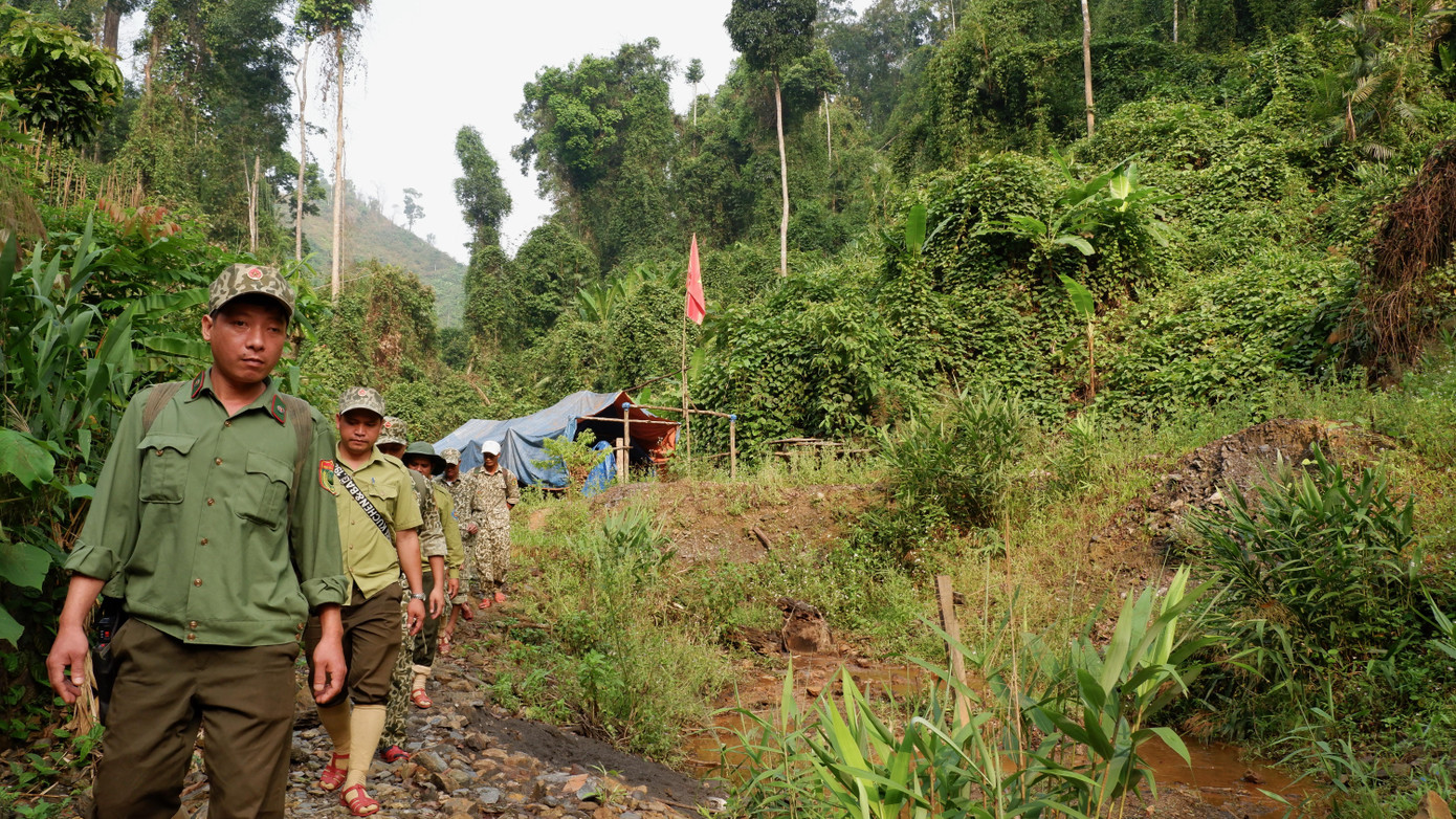 Để bảo vệ rừng và thành quả đã đạt được sau 40 năm, lực lượng của Ban quản lý Vườn Quốc gia Sông Thanh được chỉ đạo lập các trạm, cắm chốt và tuần tra bảo vệ ngay tại rừng. Có bóng dáng lực lượng bảo vệ rừng, sau 1 năm tại các bãi vàng các đầu nậu, dân làm vàng không dám bén mảng đến. Để bảo vệ rừng và thành quả đã đạt được sau 40 năm, lực lượng của Ban quản lý Vườn Quốc gia Sông Thanh được chỉ đạo lập các trạm, cắm chốt và tuần tra bảo vệ ngay tại rừng. Có bóng dáng lực lượng bảo vệ rừng, sau 1 năm tại các bãi vàng các đầu nậu, dân làm vàng không dám bén mảng đến.