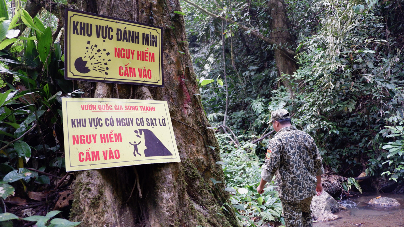 Xung quanh khu vực bãi vàng đã bị đánh sập các biển cảnh báo nguy hiểm đã được cắm lên. Xung quanh khu vực bãi vàng đã bị đánh sập các biển cảnh báo nguy hiểm đã được cắm lên.