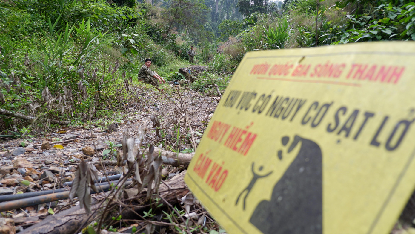 Xung quanh khu vực bãi vàng đã bị đánh sập các biển cảnh báo nguy hiểm đã được cắm lên. Xung quanh khu vực bãi vàng đã bị đánh sập các biển cảnh báo nguy hiểm đã được cắm lên.