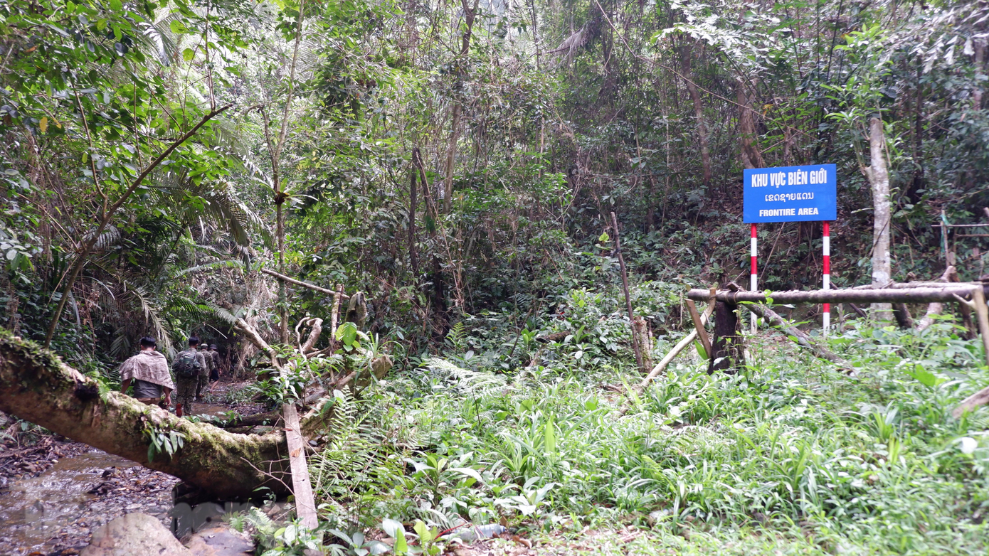 Tuyến đường tuần tra bảo vệ rừng ở Vườn quốc gia Sông Thanh nằm ở khu vực biên giới. Càng đi vào sâu bên trong, đường đi càng vất vả. Tuyến đường tuần tra bảo vệ rừng ở Vườn quốc gia Sông Thanh nằm ở khu vực biên giới. Càng đi vào sâu bên trong, đường đi càng vất vả.