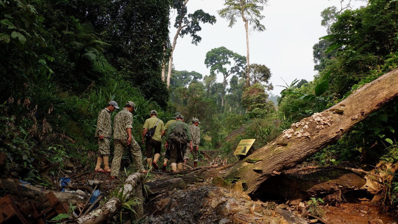 Anh em băng rừng, tuần tra để kịp thời phát hiện các dấu hiệu nghi ngờ để kịp thời báo cáo và triển khai lực lượng xử lý. Anh em băng rừng, tuần tra để kịp thời phát hiện các dấu hiệu nghi ngờ để kịp thời báo cáo và triển khai lực lượng xử lý.