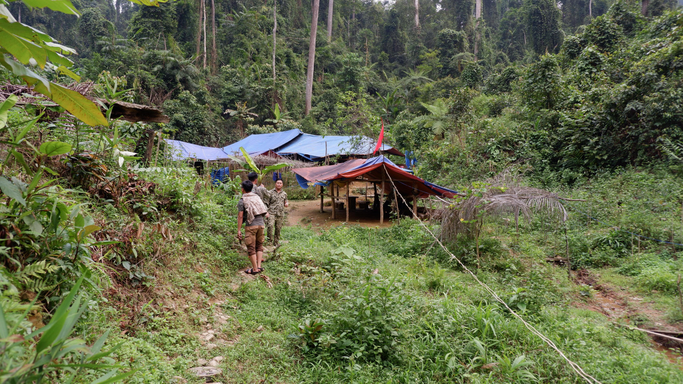 Sau hơn 3 giờ đi bộ, chúng tôi đặt chân đến Trạm bảo vệ rừng ở khu vực Khe Tà Vạt (thuộc khoảnh 2, tiểu khu 378). Nơi đây từng là một bãi khai thác vàng trái phép, với hàng chục hầm, giếng khai thác vàng đã được lực lượng chức năng đánh sập. Sau hơn 3 giờ đi bộ, chúng tôi đặt chân đến Trạm bảo vệ rừng ở khu vực Khe Tà Vạt (thuộc khoảnh 2, tiểu khu 378). Nơi đây từng là một bãi khai thác vàng trái phép, với hàng chục hầm, giếng khai thác vàng đã được lực lượng chức năng đánh sập.