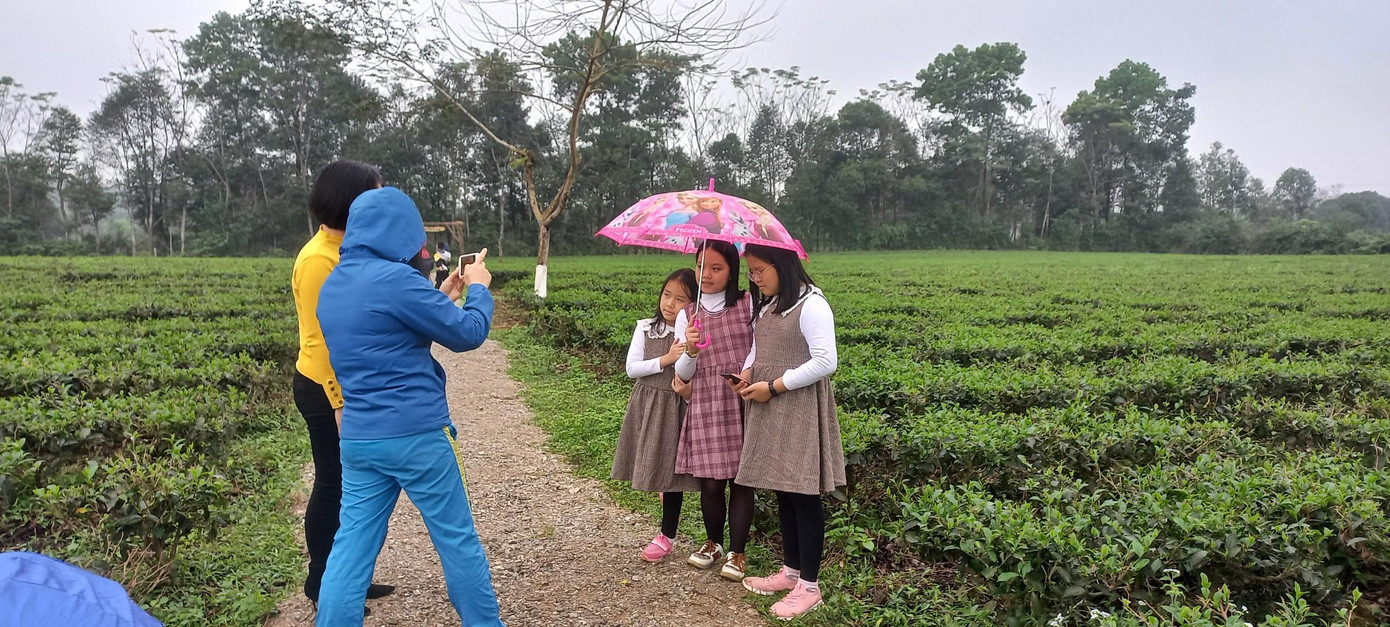 Các em nhỏ thích thú tạo dáng bên những luống chè.