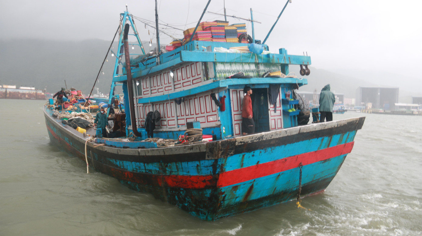 Theo quy định của TP, tàu thuyền sau khi vào âu thuyền neo đậu, các thuyền viên được yêu cầu ở yên trên tàu để lực lượng chức năng lấy mẫu xét nghiệm. Kết quả âm tính mới được cho lên bờ, đến nơi tập trung để trú bão.