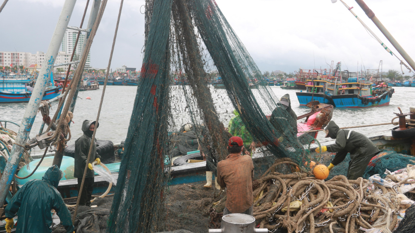 Ngư dân thu dọn ngư lưới cụ sau khi tàu vào âu thuyền trú bão.