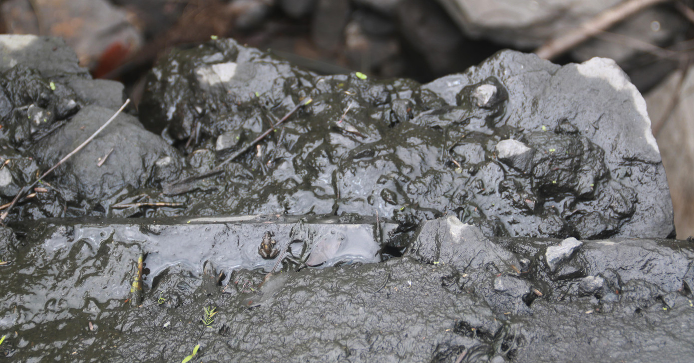 Dấu vết ô nhiễm từ bãi than đọng lại ở dòng chảy. Lãnh đạo UBND xã Hoà Nhơn (Hòa Vang, TP Đà Nẵng) cho biết đã kiểm tra và báo cáo lên Phòng TN&amp;MT huyện để xử lý theo đúng thẩm quyền. Về lâu dài, chính quyền kiến nghị di dời bãi tập kết than này đi khỏi đầu nguồn nước để không ảnh hưởng đến sản xuất của người dân.