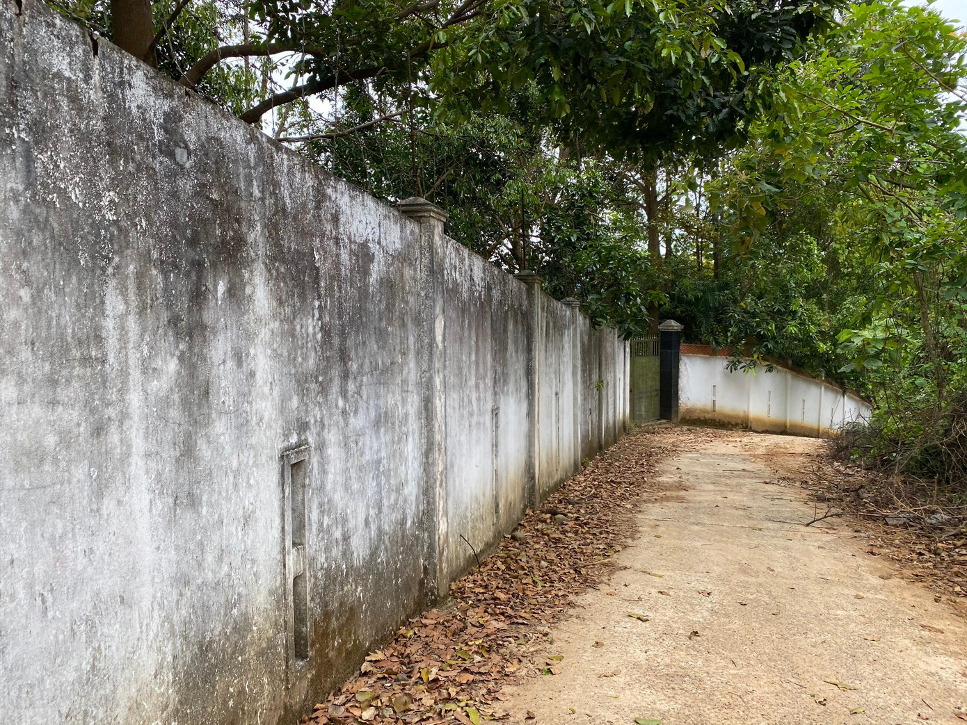 Tường rào quanh công trình biệt phủ trái phép trên rừng Hải Vân.