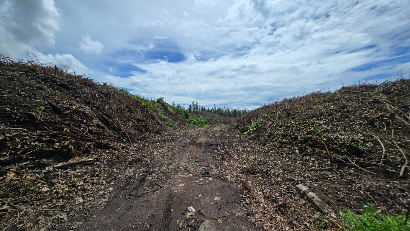 Khu đất đường Lê Trực – Trương Vĩnh Ký – Huỳnh Tịnh Của (xã Hòa Phước, huyện Hòa Vang, TP Đà Nẵng) đang là nơi tập kết rác thải cành, lá cây xanh. Theo tìm hiểu, khu đất trên được Công ty Công viên - Cây xanh Đà Nẵng (thuộc Sở Xây dựng Đà Nẵng) mượn làm bãi tập kết cây xanh đô thị sau cắt tỉa để phòng chống bão lũ.