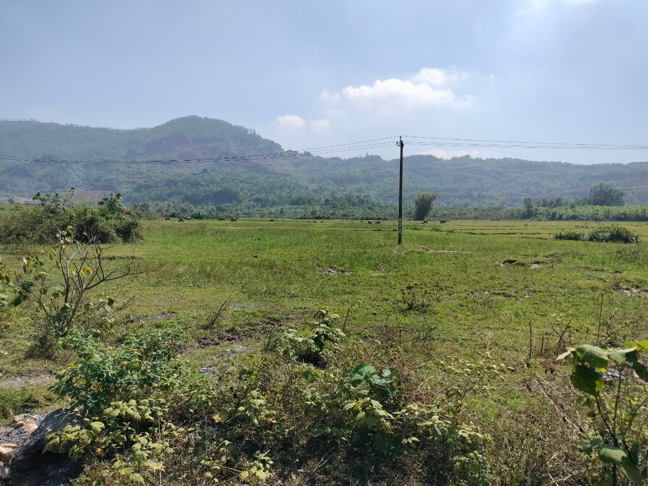 Ông Lê Văn Tuân, Trưởng thôn Phước Thuận - Phước Hậu cho biết: Do ảnh hưởng từ việc khai thác mỏ, nguồn nước ngầm bị cắt đứt, đất trở nên hoang hóa. Khi mỏ còn hoạt động, các công ty, doanh nghiệp hỗ trợ người dân khoảng 1,5 triệu đồng/ha/năm nhưng từ khi hết hạn, người dân không còn được hỗ trợ nữa. Cuộc sống người dân bị ảnh hưởng do ruộng đồng không thể tái sản xuất. &quot;Tại các buổi tiếp xúc cử tri người dân, chính quyền đã kiến nghị nhiều lần nhưng đến nay mọi việc vẫn chưa có chuyển biến gì&quot;, ông Tuân cho biết.