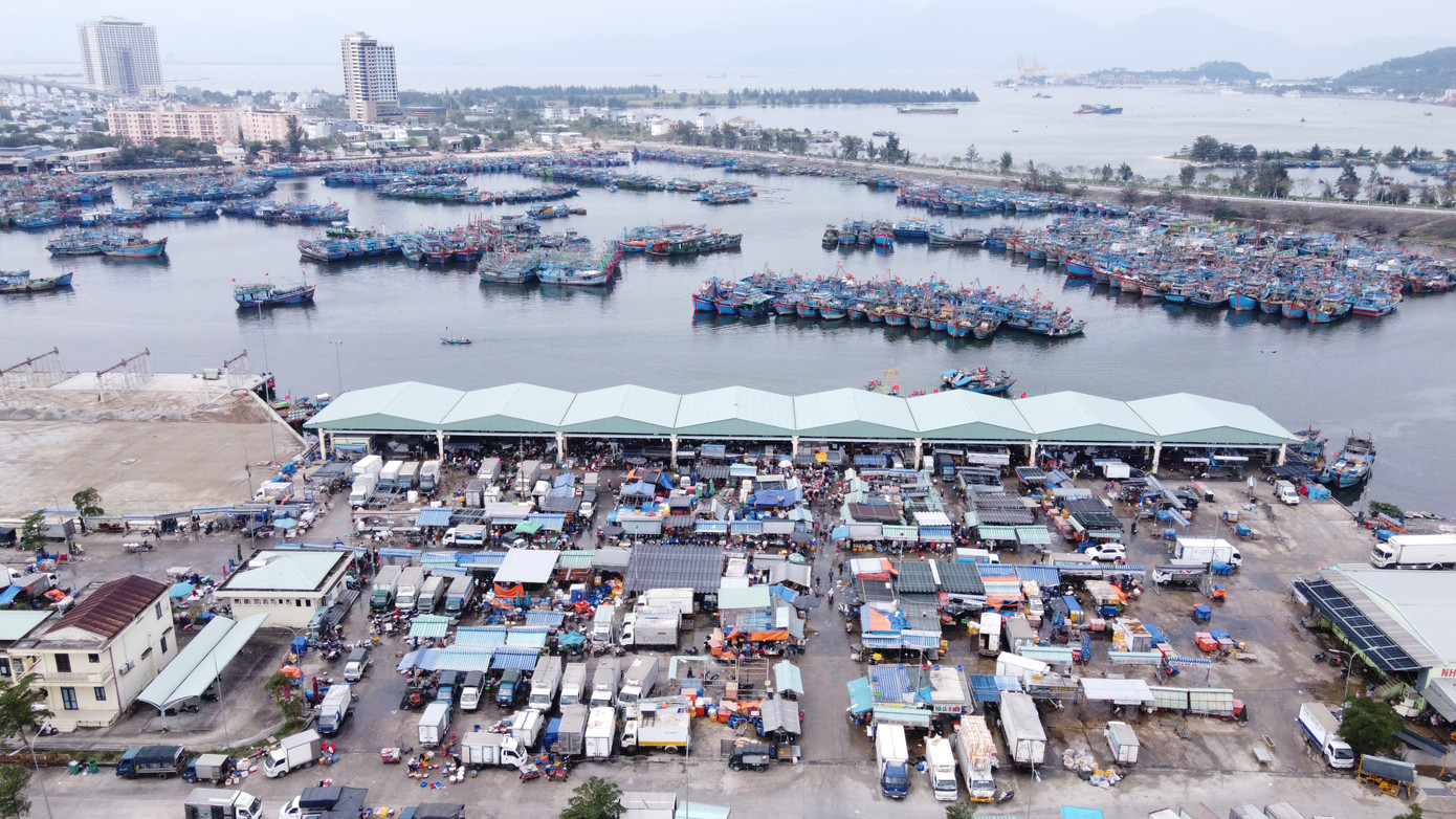 Cảng cá Thọ Quang nằm ngay cạnh Âu thuyền Thọ Quang (quận Sơn Trà) nơi neo đậu của hàng trăm tàu cá lớn nhỏ của ngư dân miền Trung. Những ngày này, cảng cá Thọ Quang tấp nập tàu thuyền, xe cộ ra vào khu vực cầu cảng, chợ cảng để mua, bán các loại hải sản.