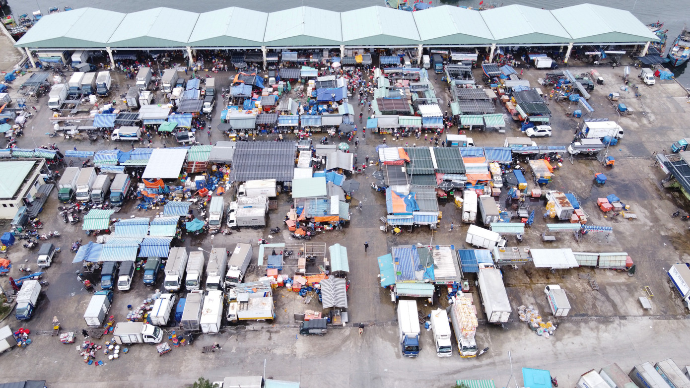 Xe ô tô xếp hàng dài tại sân chợ cảng cá Thọ Quang. Từ đây, hàng trăm tấn hải sản các loại sẽ tỏa đi khắp cả nước phục phụ người dân dịp Tết.