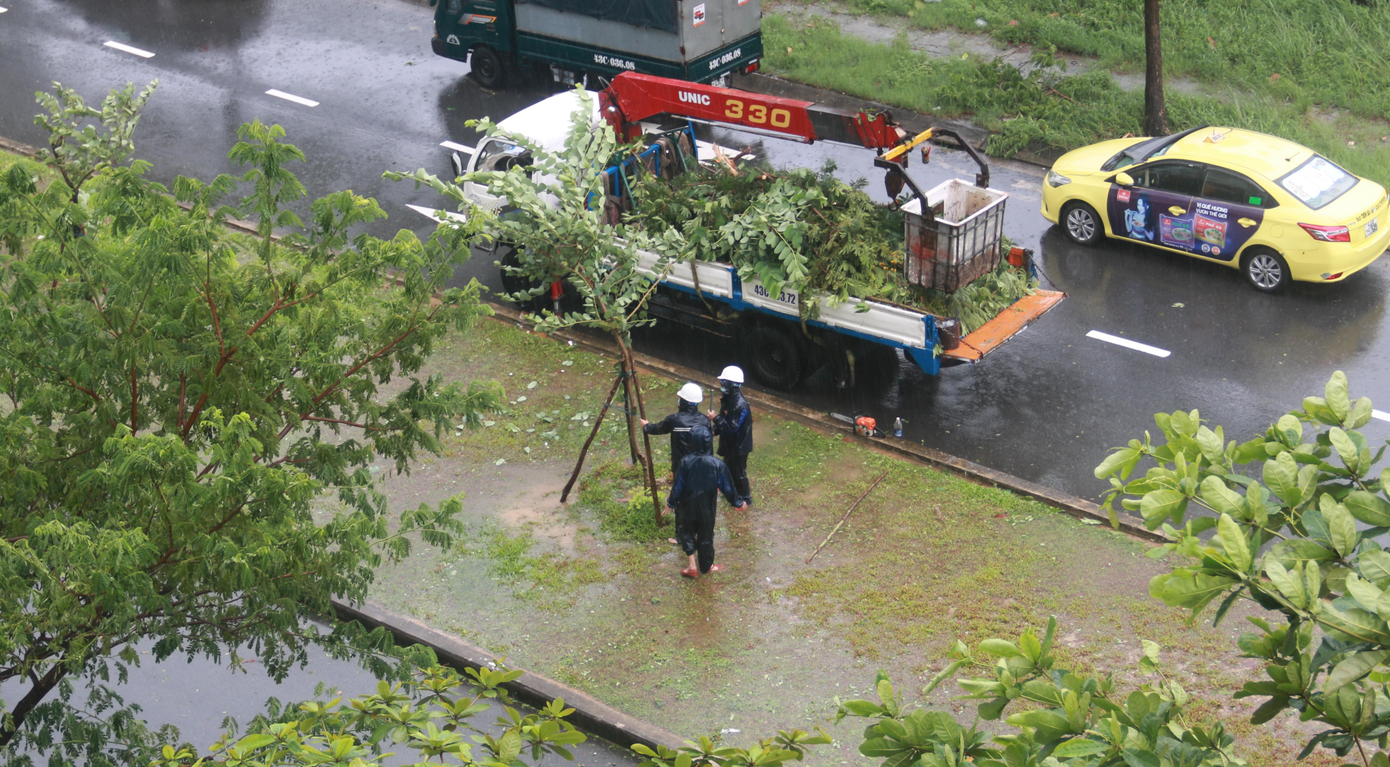 Chằng chống cây xanh ngã đổ sau đợt mưa, gió lớn do ảnh hưởng của bão số 5.
