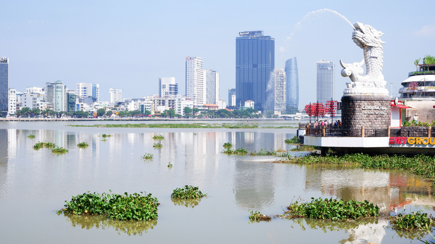 Khu vực cầu tình yêu lục bình trôi dạt tạo nên cảnh sắc khác lạ. Khu vực cầu tình yêu lục bình trôi dạt tạo nên cảnh sắc khác lạ.
